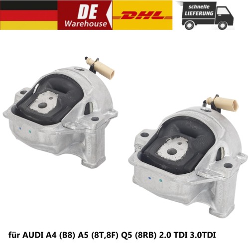 Supporto motore sinistro - , +